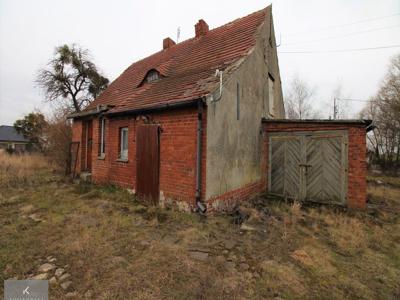 Oleśnicki, Syców