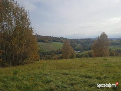 Beskid Niski WIDOKOWA