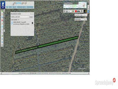 Działka leśna 0,51ha, Osuchy gm. Łukowa, lubelskie