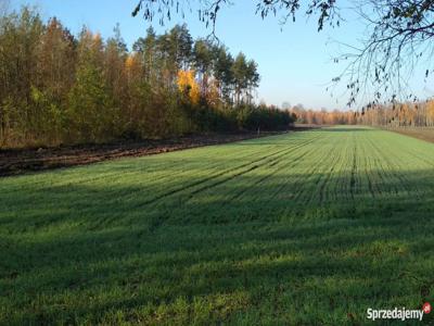 Działka rolna 15000m²