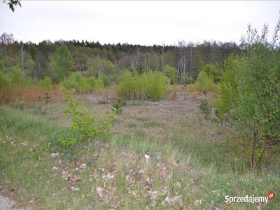 Działki budowlane o powierzchni 1,6500 ha nad jeziorem.