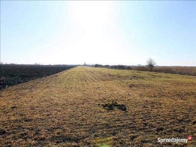 Nieruchomość gruntowa, rolna o pow. 5093 m2 Muchobór Wielki