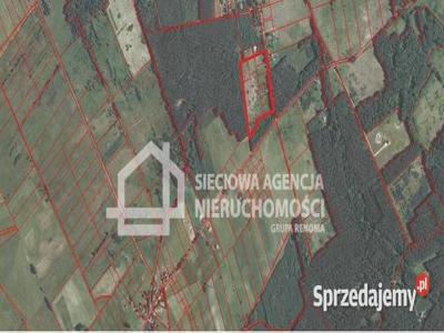 Oferta sprzedaży gruntu Szczenurze 3009 metrów
