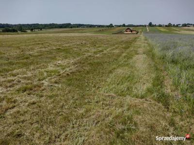 Okazja - działka rolno-budowlana z warunkami zabudowy 3000m2