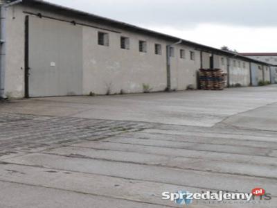 Wynajmę lokal Wypędy 800m2