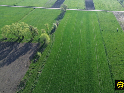 Białostocki, Dobrzyniewo Duże