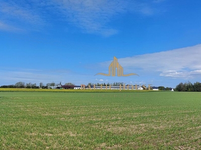 Działka 1000 m2 Nowy Tuchom