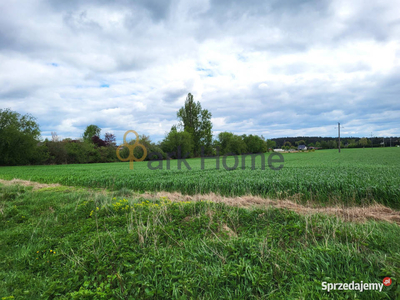 Działka 121800m2 Rybojedzko