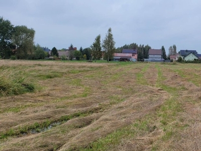 Działka budowlana Dębe Wielkie, ul. Nadrzeczna