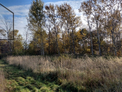 Działka budowlana Nieborowice