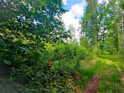 Działka budowlana Jaktorów