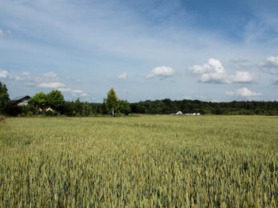 Działka budowlana Karczów