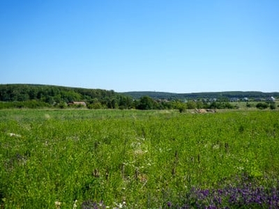 Działka budowlana, ul. Ogrodników