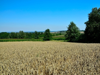 Działka budowlana Zagórze