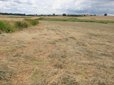 Działka inna Bartąg