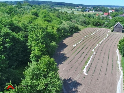 Działka inna Opalenie