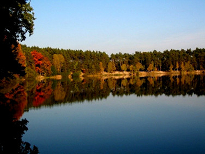 Działka Marszałki