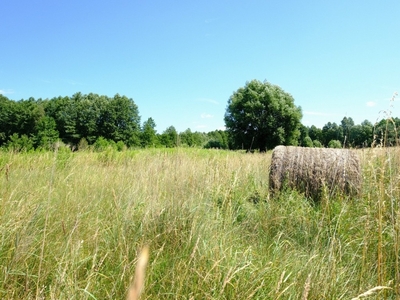 Działka rolna Kampinos