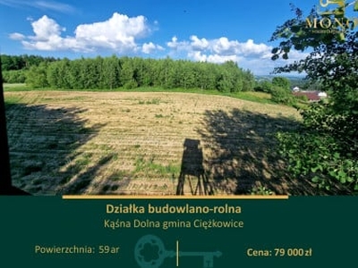 Działka rolno-budowlana Kąśna Dolna