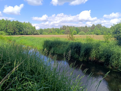 Działka rolno-budowlana Petrykozy