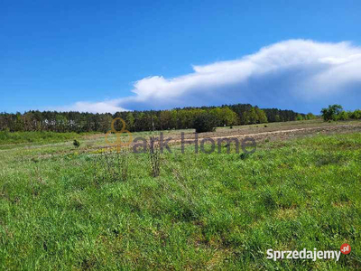 Działka Trzciel 15100m2