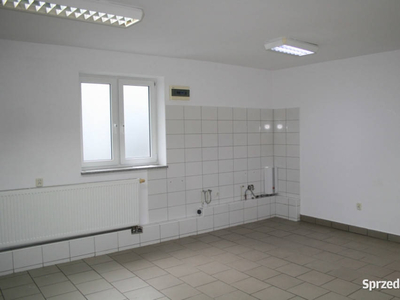 Gniew Lokal do wynajęcia 32 m²