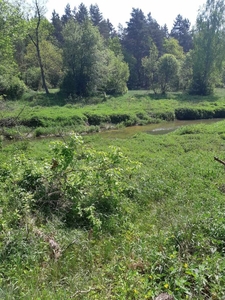 Sprzedam działkę leśną nad rzeką Wilgą w Trzciance