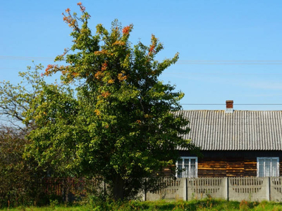 SPRZEDAM Działka budowlano-rolna Modrzew gm. Opoczno 1,05 ha