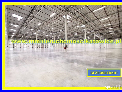 Ogłoszenie lokal 7070m2 Katowice