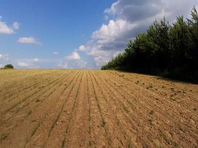 grunty rolne Nowy Korczyn