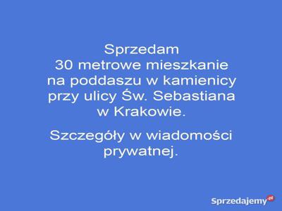 Mieszkanie 30m2. Kraków, Św. Sebastiana.