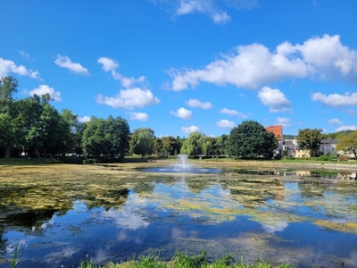 Piękna, zielona Żabianka-po remoncie, gotowe