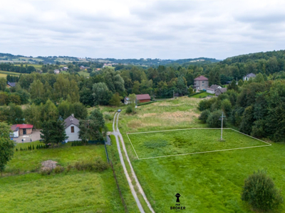 Wielicki, Biskupice, Jawczyce