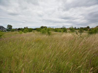 Wąwelnica działka na sprzedaż 120zł/m2 - 3000m2