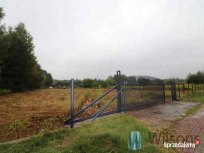 Oferta wynajmu gruntu Łazy Wąska 3262m2