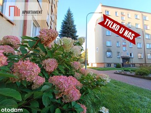 3 pokoje od balkon południa 60 lecia 4 piętro