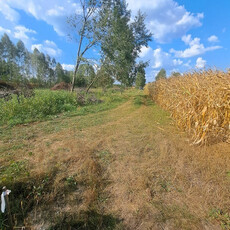 Białostocki, Juchnowiec Kościelny, Brończany