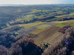 Do sprzedaży działka o pow 1.18 Ha. Zalasowa.