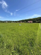 Działka bud. 30 ar Zagórze gm. Gródek nad Dunajcem