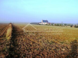 Działka budowlana Dziuchów gm. Niemce, Dziuchów