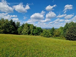 Działka budowlana Turza gm. Rzepiennik Strzyżewski