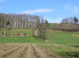 Działka rekreacyjna 40a- Manasterz