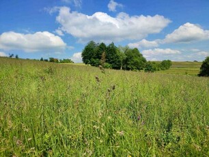 Działka rolno-budowlana Koniuszowa, gm. Korzenna