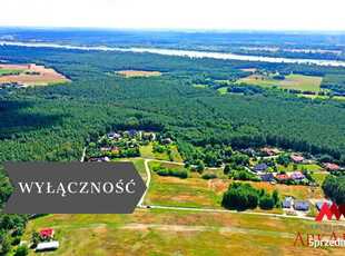 Oferta sprzedaży działki 3100m2 Nowy Witoszyn