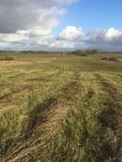 Sprzedam działkę rolną 4,64 ha Mazury! Tuchlin