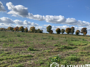 Słubicki, Cybinka