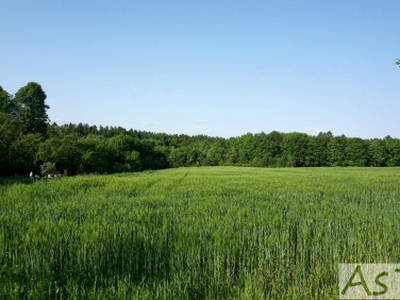 Działka Zelków