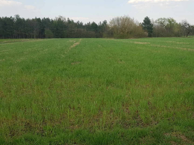 Działki pod budowę w Makowie Mazowieckim