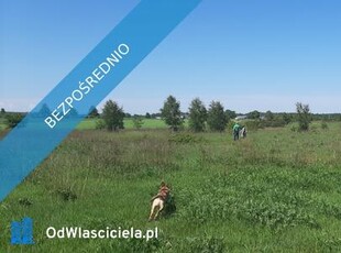 DZIAŁKA BUDOWLANA z pozwoleniem na budowę 984 m2 POŁCHOWO