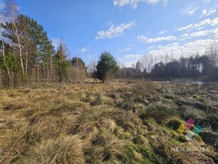 Działka nad rozlewiskiem w otulinie lasu